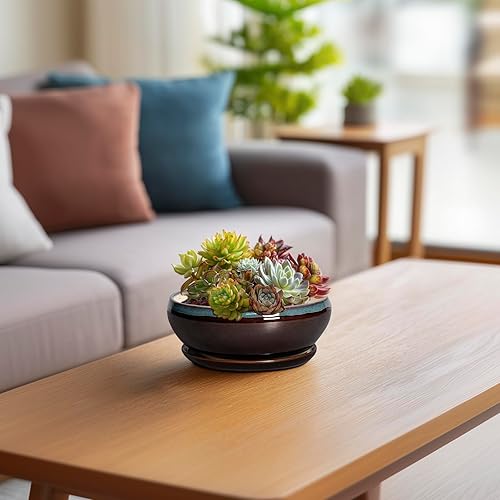 Miniatura 6 de Macetas SQOWL para suculentas con orificio de drenaje - Macetas de bonsái de cerámica de 6 pulgadas, maceta honda con platillo, maceta redonda para