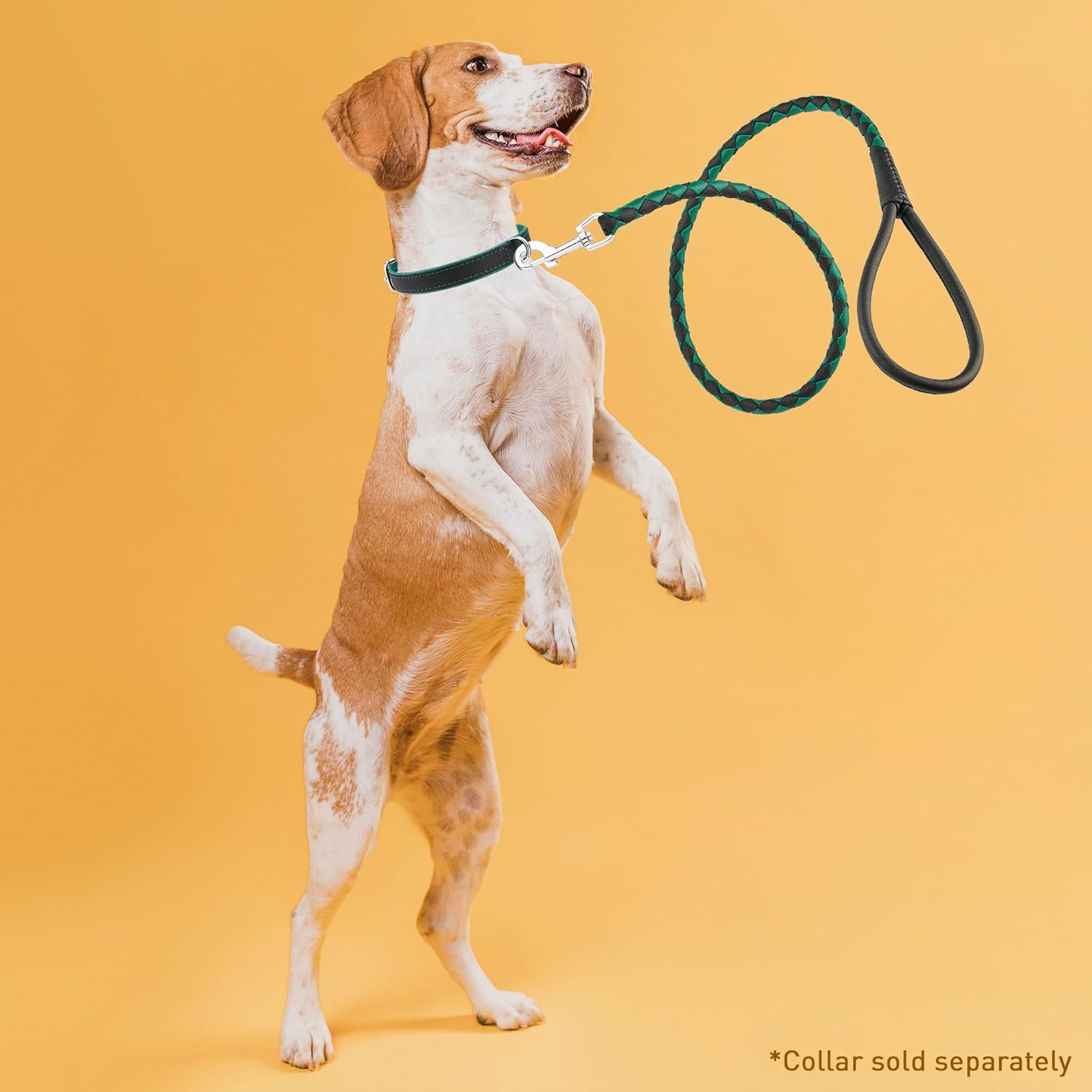 Dogline Soft and Padded Rolled Round Hand Braided Leather Leash for Dogs W1/4" - L48, Black & Teal