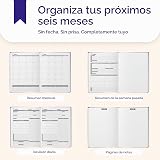 Panda Planner Pro A4 - Agenda diaria 2026 – Agenda sin fecha de 6 meses con horario por hora, diseño grande de 8.5 x 11 pulgadas, lista de tareas, diario diario, planificador de objetivos, rastreador