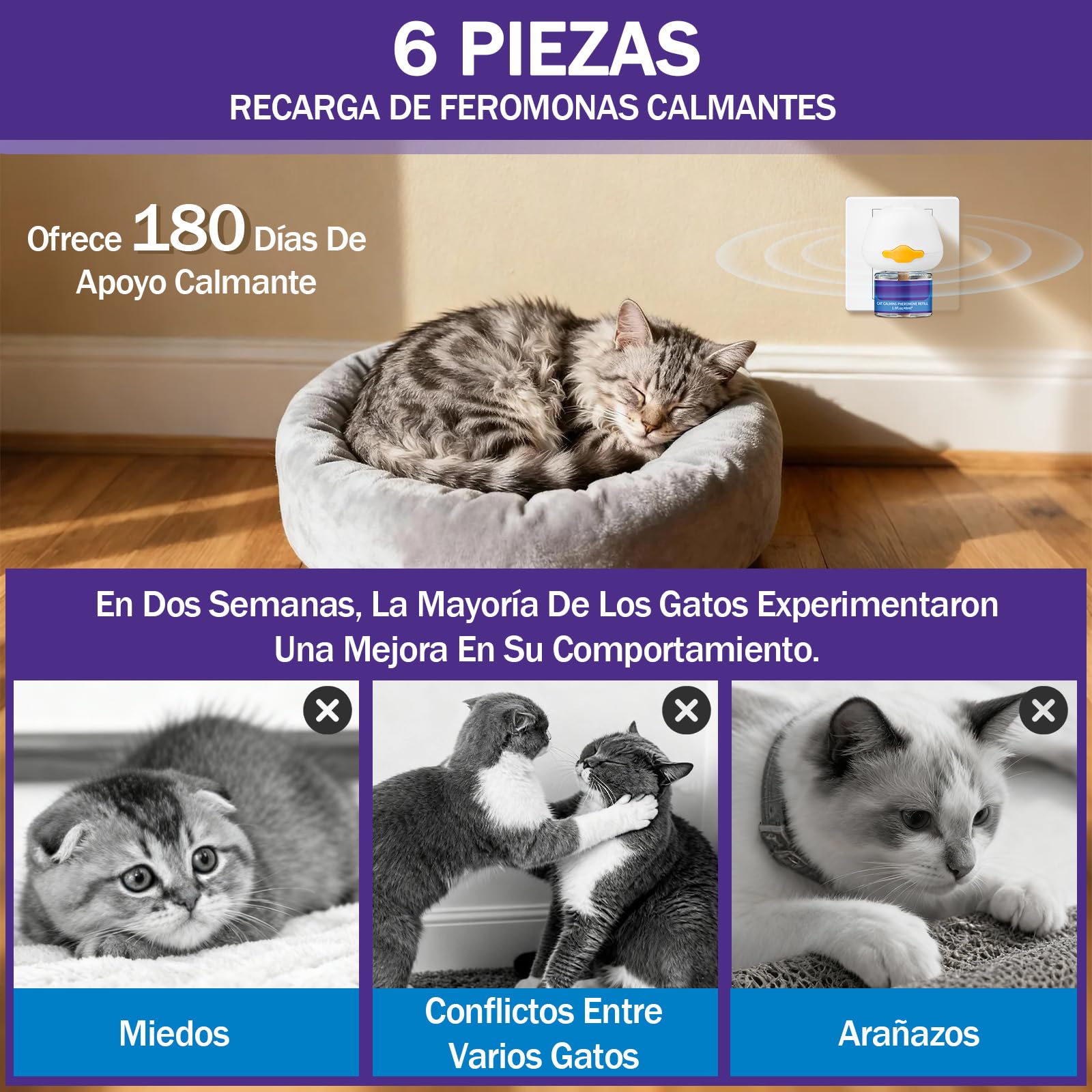 6 Recargas de Feromonas para Gatos - Recambios para Difusor Calmante de Gatos, Relajación, Suministro de 6 Meses, Recarga para Difusor Calmante (Compatible con Todos los Difusores Comunes)