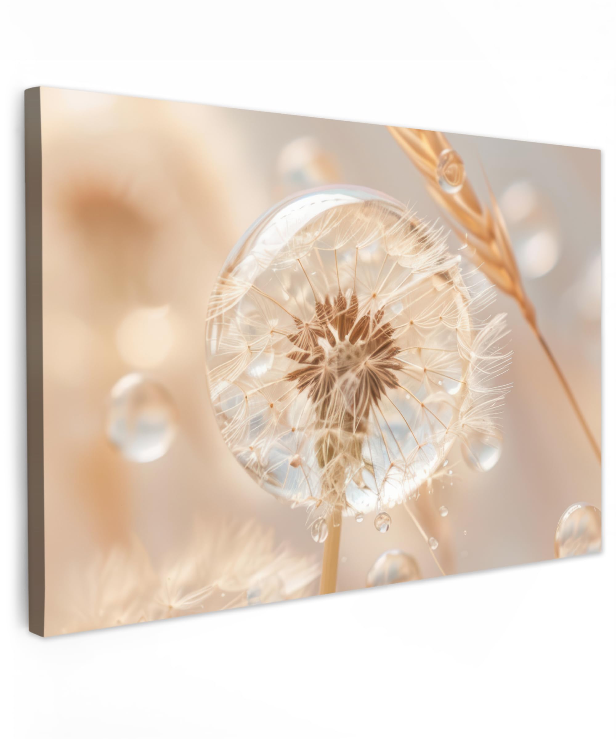 MuchoWow© Canvas Wall Art 35"x24" / 90x60 cm Decor Hanging Pictures for Living Room Canvus Artwork Deco Walls Dandelion - Water - Nature - Still life - Modern