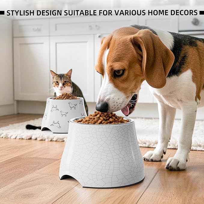 Comedero Elevado para Perro Plástico y Acero Inoxidable 1 Un miniatura 5