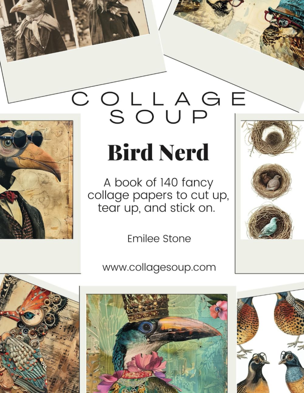Collage Soup - Bird Nerd: A book of 140 fancy collage papers to cut up, tear up, and stick on      Paperback – April 24, 2024