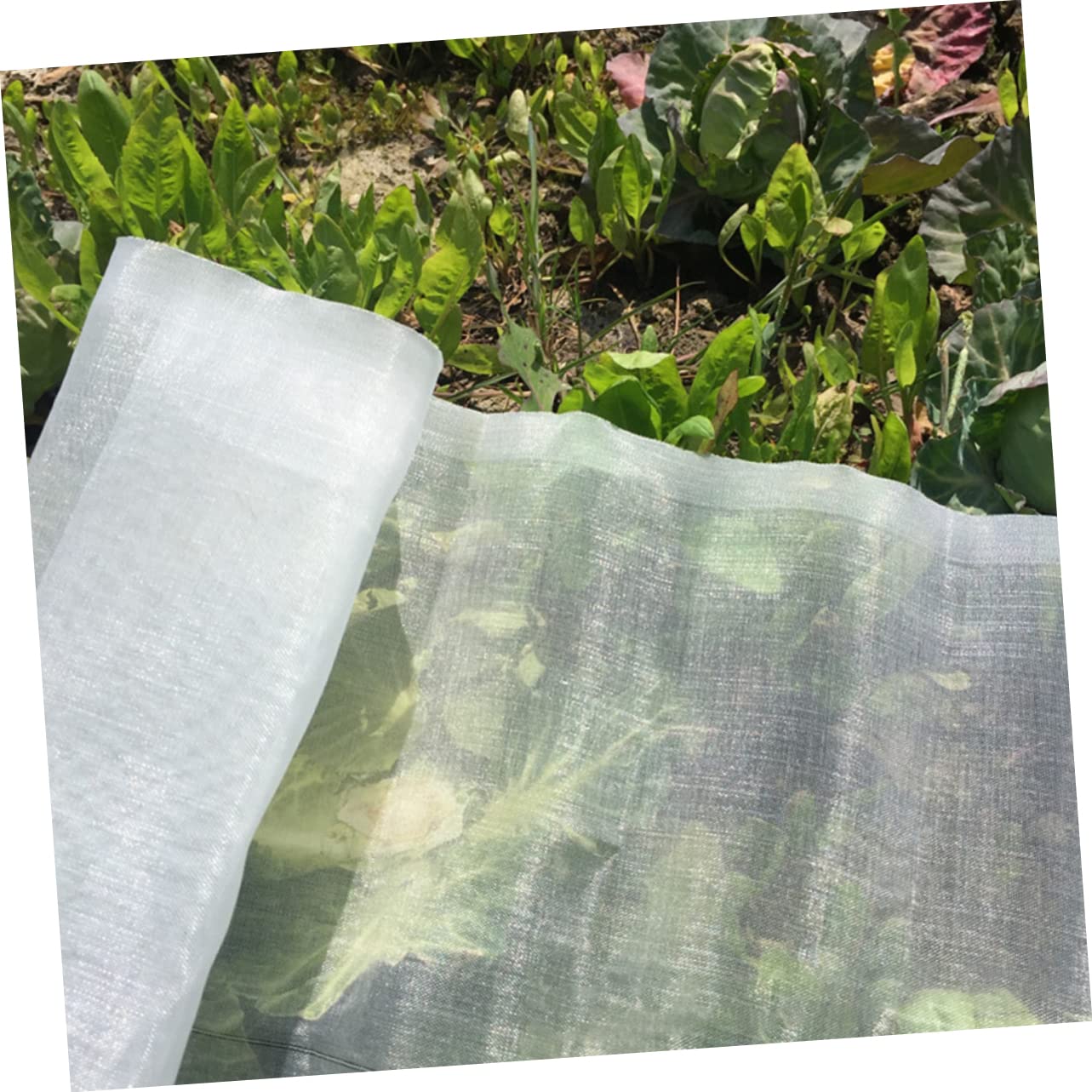 Rete Anti-insetti da Giardino in Nylon, Maglia 40, Bianca, Traspirante e Resistente, per Orto, Frutta e Verdura
