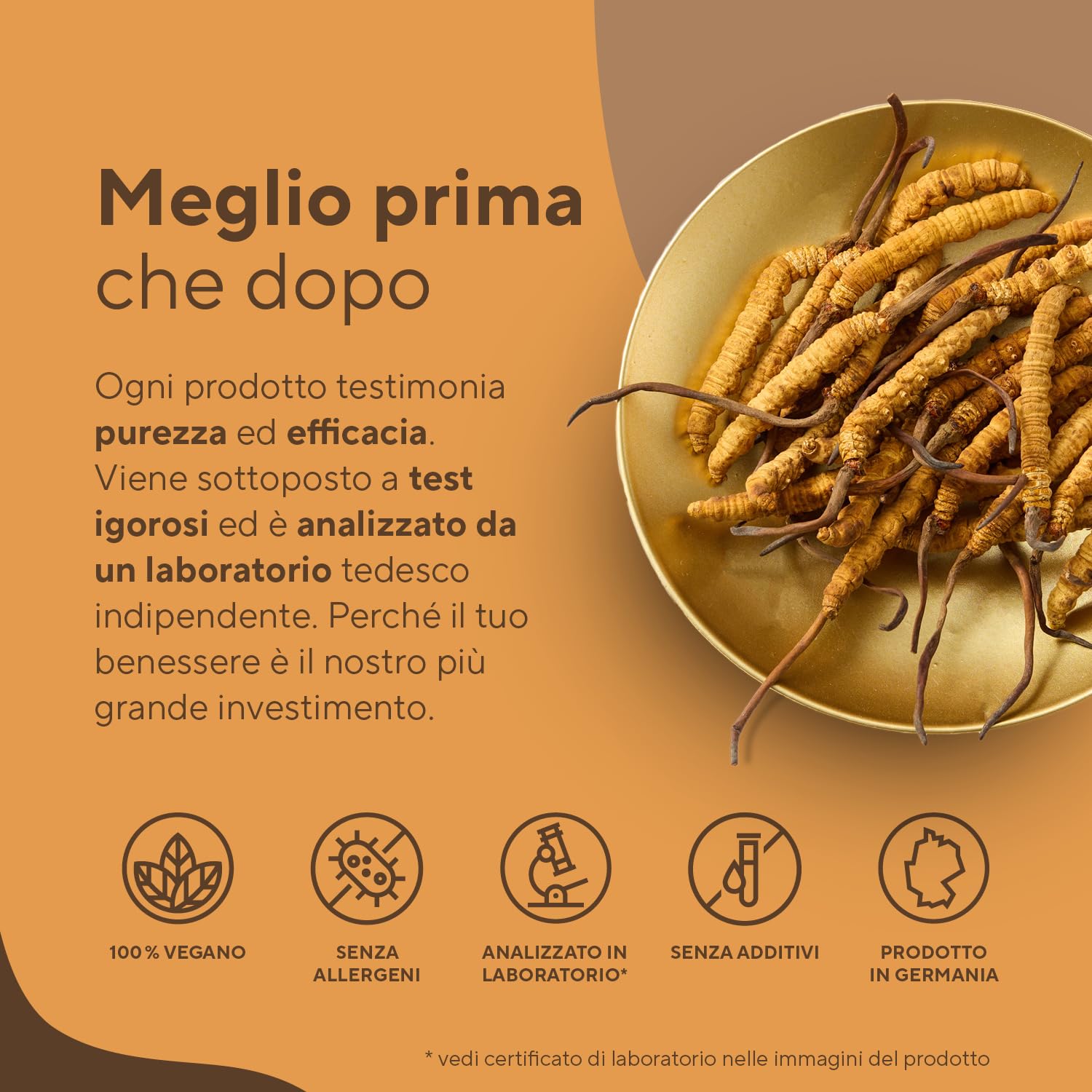 Cordyceps Sinensis - 19500 mg - 270 Capsule (Estratto CS-4 10:1) Alto dosaggio - con 40% di Polisaccaridi Bioattivi - Analizzato in Italia e confezionato in Germania da TRUE NATURE