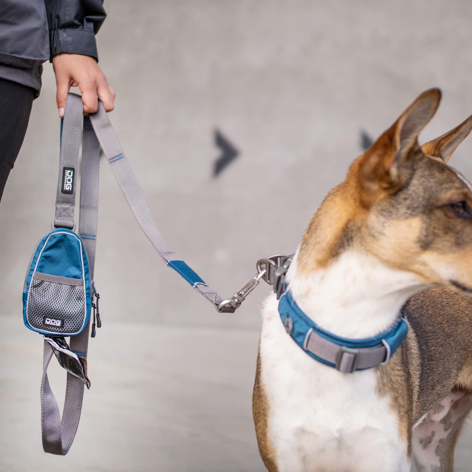 DOG Copenhagen Hundeleine V2 Urban Trail Leash Wild Rose Größe S