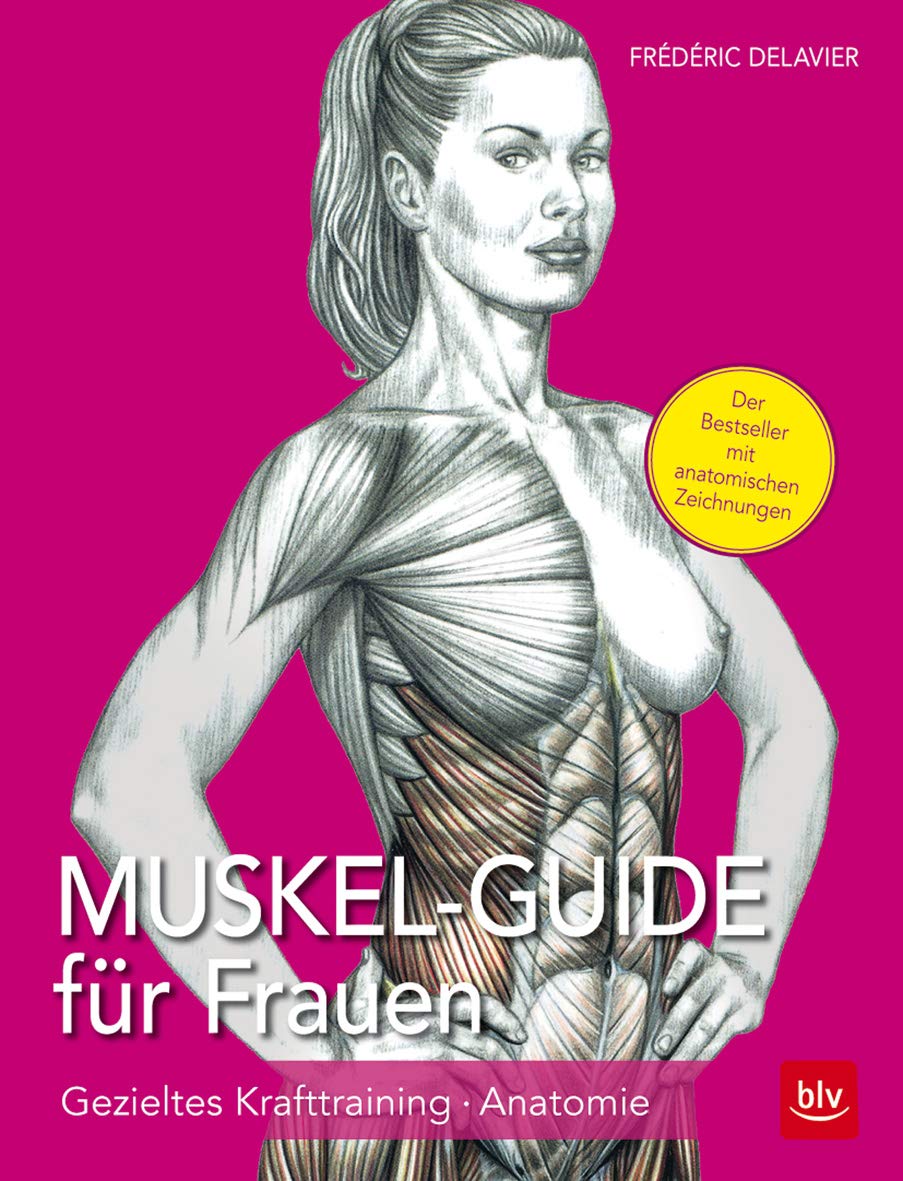 Muskel Guide für Frauen: Gezieltes Krafttraining - Anatomie