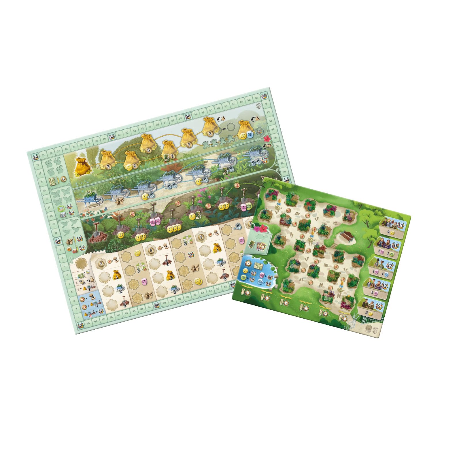 Devir - Botanicus, Juego de Mesa, Juego de Jardines, Juego de Comercio (BGBOTPS)