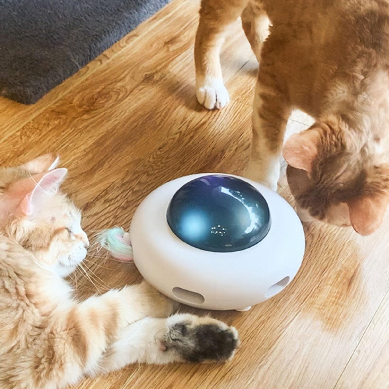Juguetes para gatos de interior para adultos, juguete interactivo para gatos automáticos, eléctricos, inteligentes, juguetes para gatos con plumas, divertido palo de gato para el hogar