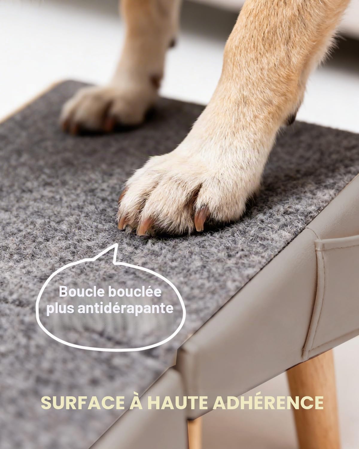 40 cm Rampe pour Chien pour Canapé et Lit 2 en 1, Inclinaison Douce 23° | Escalier pour Animal de Compagnie, pour Petits et Moyens Chiens et Chats, Rampe Antidérapante pour Chien Senior ou Blessé