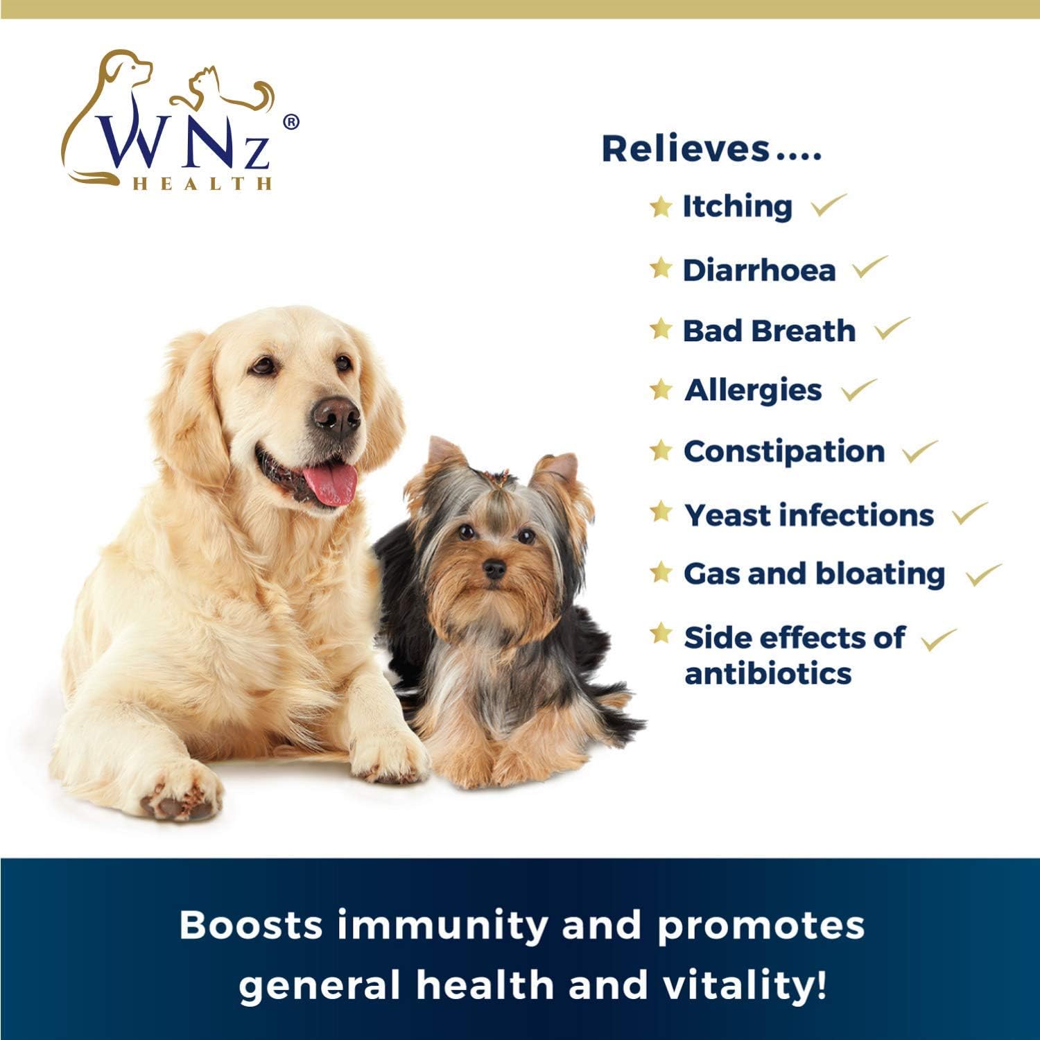 Buy Probiotics For Dogs Best Relief From Diarrhea Constipation Allergies Bad Breath Itching Gas Shedding Canine Probiotic Powder With Acidophilus For Puppies Adults Made In Usa Wetnozehealth