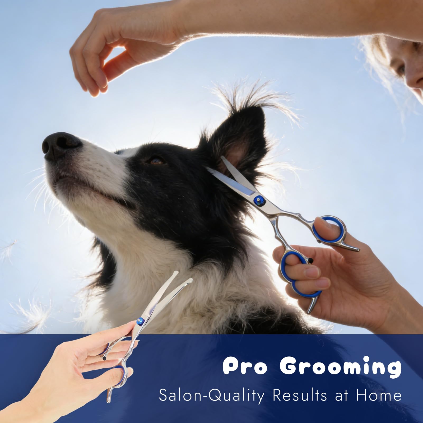 Ciseaux Courbés pour Chien 6,7 Pouces avec Chiffon de Nettoyage, Ciseaux de Toilettage Professionnels en Acier Inoxydable, Sécurité Pointe Arrondie, Idéal Pour Poils de Chiens et Chats