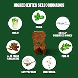 Ver la foto 2