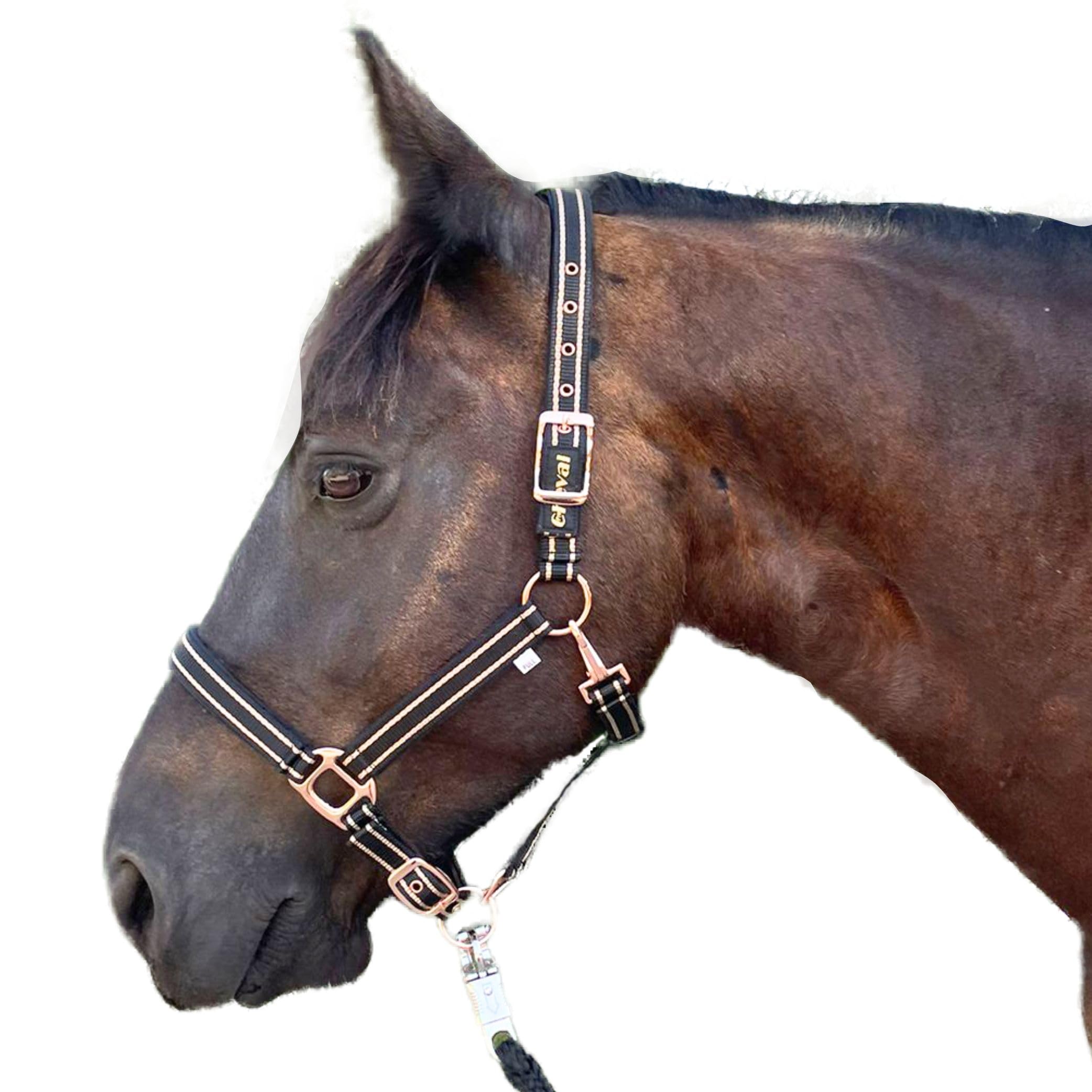 Cabestro para caballos con brillo en color oro rosa, cabestro para caballos en negro y rosa, ajustable en 2 posiciones (Negro oro rosa con cuerda, sangre caliente (completo))