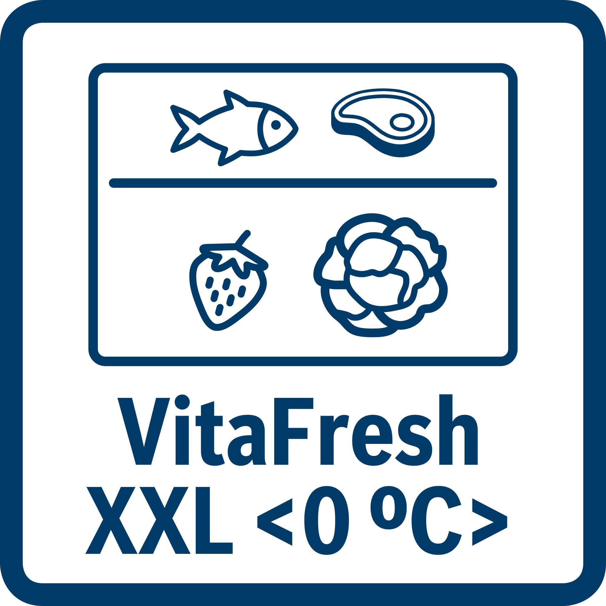 Bosch KGN49VICT Serie 4 - Frigorífico y congelador (203 x 70 cm, 313 L de refrigeración, 127 L de congelación, VitaFresh XXL, frescor prolongado, NoFrost, iluminación LED uniforme