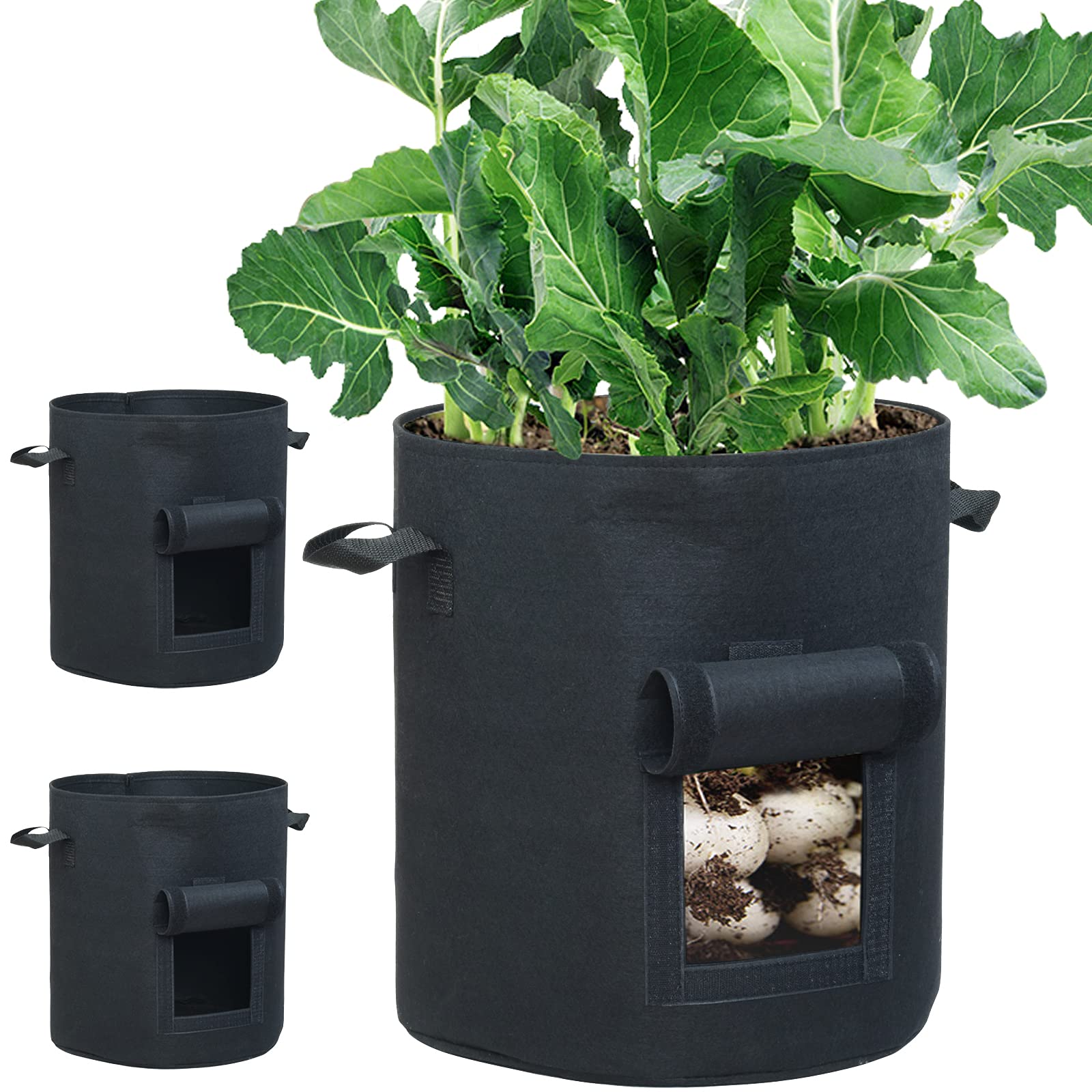 Amazon.co.jp: 3個セット 10ガロン プランター 布鉢 栽培袋 窓がある
