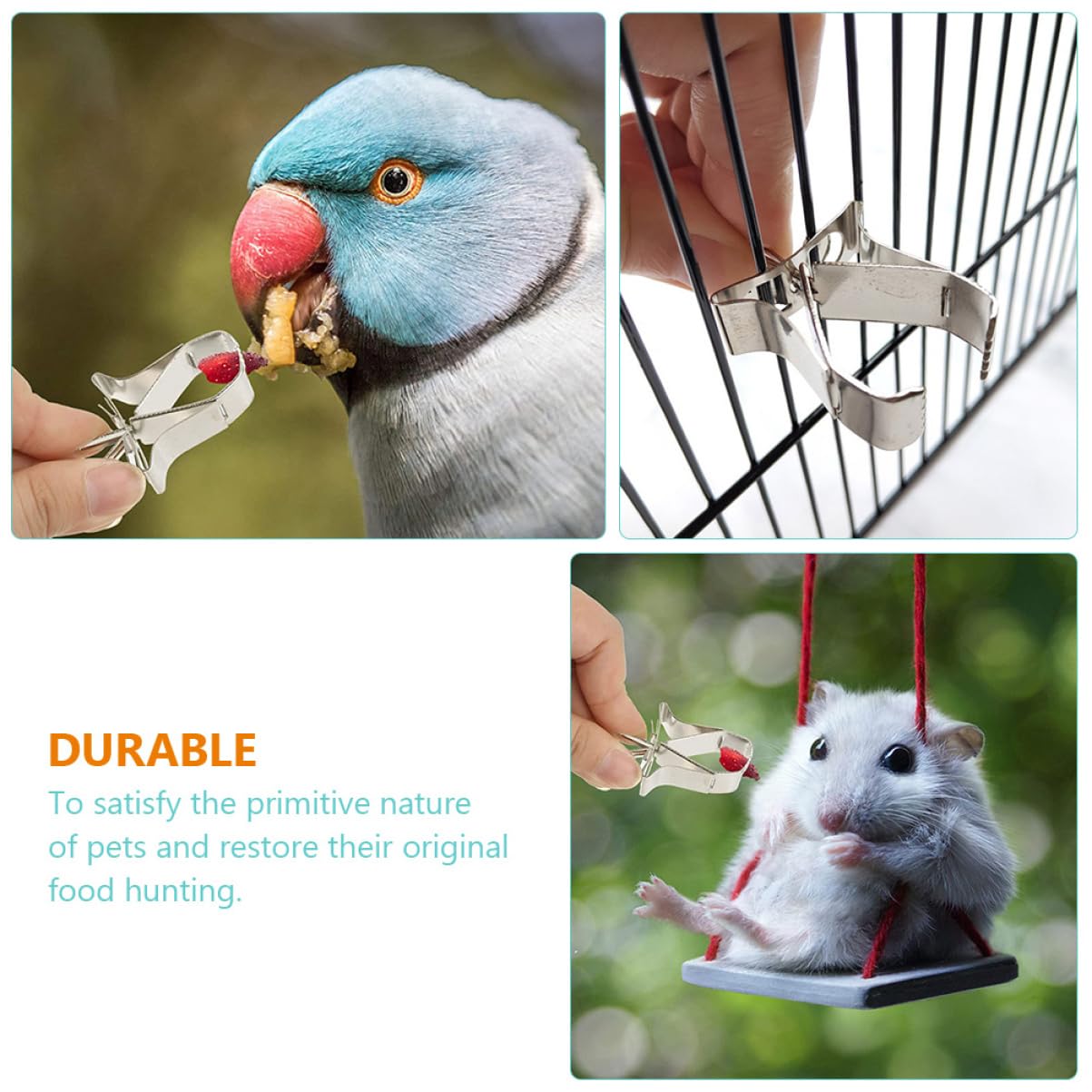 VANZACK 30piezas Clips De Fruta para Pájaros Accesorios De Alimentación para Jaulas Soporte De Acero Inoxidable para Comida De Aves y Pequeños Roedores
