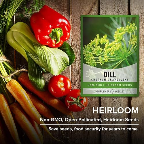Miniatura 4 de Gardeners Basics Las semillas de eneldo para plantar son una reliquia, variedad de hierbas sin OMG, semillas de hierbas Anethum Graveolens, ideales