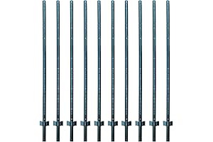 Long-Lasting 10 Foot Fence Posts
