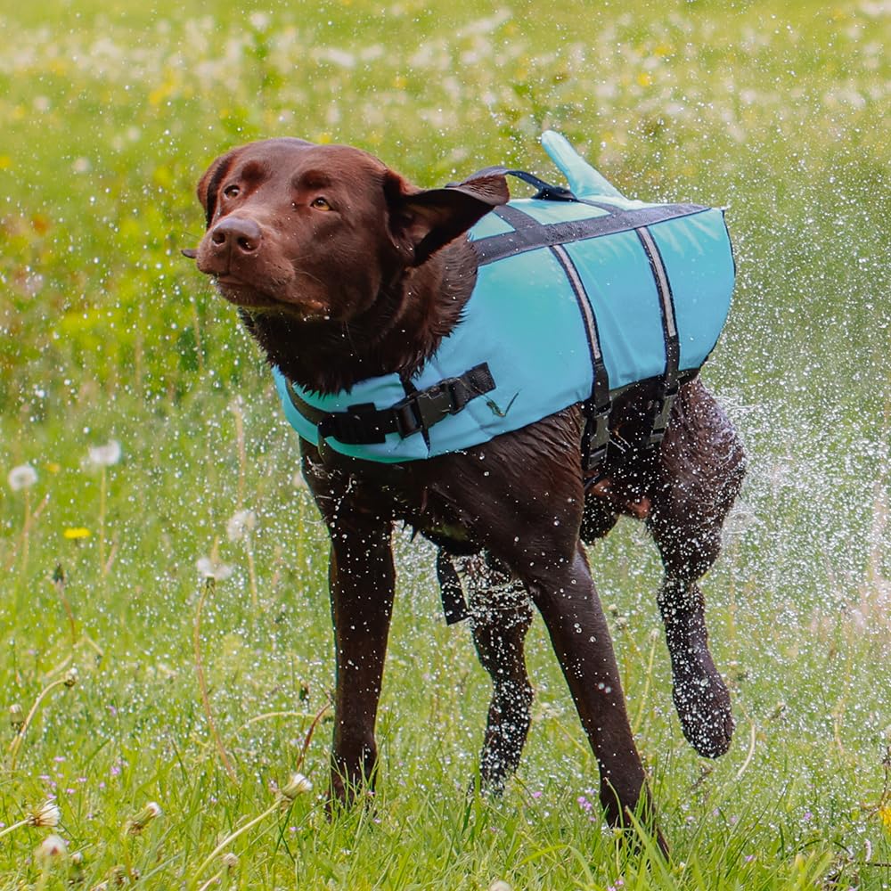 Nobby 61031 Hunde Schwimmhilfe Sharki hellblau Größe: S, 30 cm