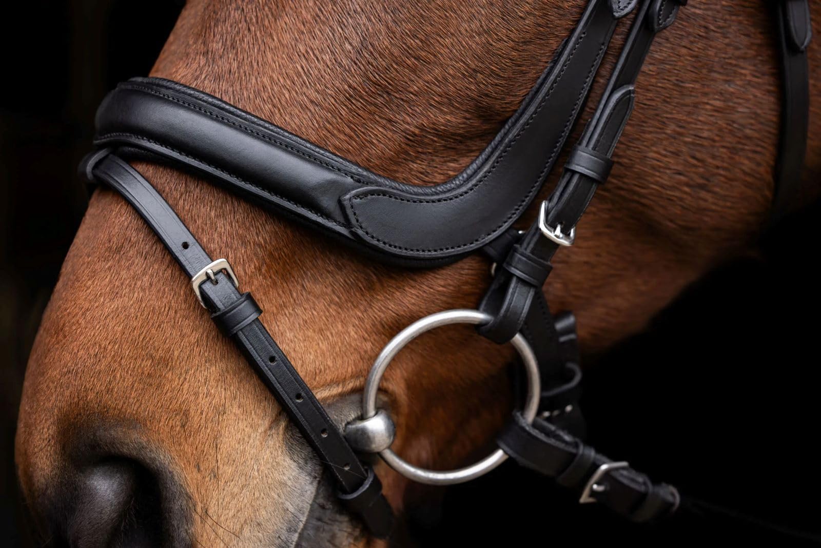 Covalliero Trensenzaum Anatomic schwarz Gr. Warmblut Trense