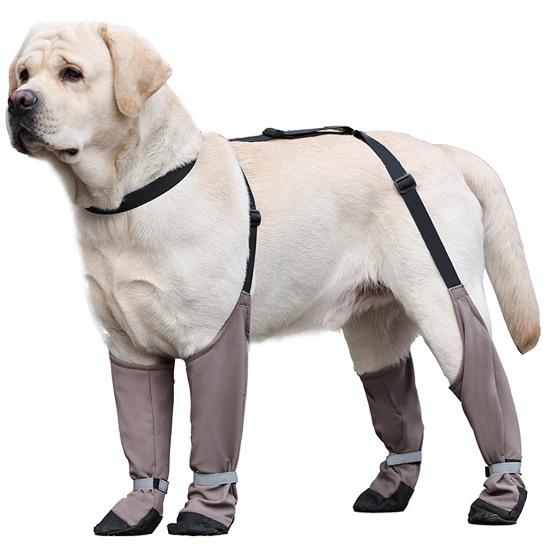 Chaussures pour chien réfléchissantes avec sangles réglables de sécurité