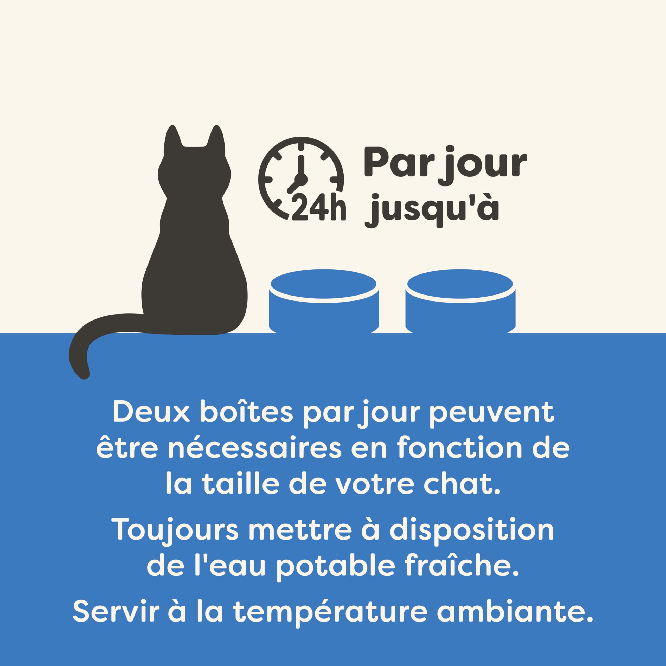 Applaws Natural Aliment Humide pour Chats Adultes, Sélection de Poissons en Gelée - Pack de 12 x 70g Boîtes