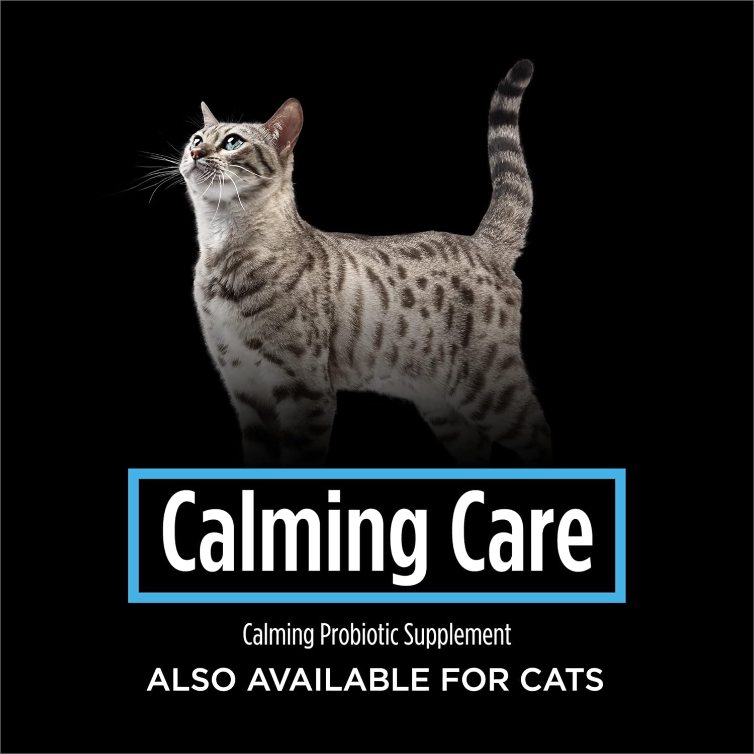 Buy Purina Pro Plan Veterinary Supplements Calming Care Canine Formula