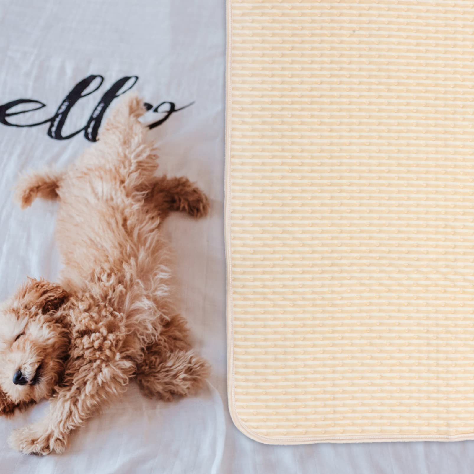 Tappetino per Cani Lavabile Riutilizzabile 2 Pezzi Cotone | Cani e Piccoli Animali, Assorbimento Elevato e Anti-perdita, Uso in Gabbia o Viaggio