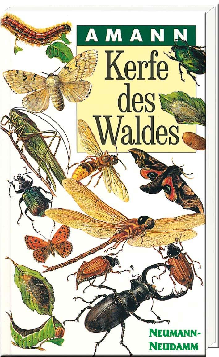 Kerfe des Waldes: Taschenbildbuch der beachtenswertesten Käfer, Schmetterlinge und sonstigen Kerfe des mitteleuropäischen Waldes, ihrer ... Fraßbilder mit Textteil über Bau und Leben