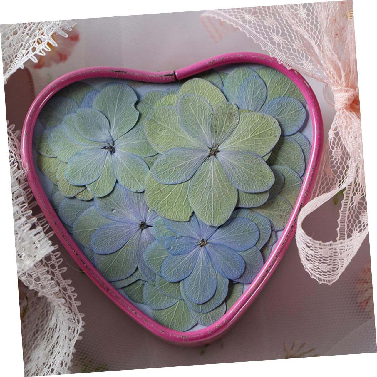 STOBAZA 150pièces Séchées Pressées pour Dried Flowers pour Décoration De Mariage Scrapbooking Et Création De Bijoux