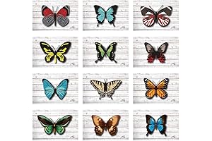 Elegant Butterfly Note Cards for All Occasions