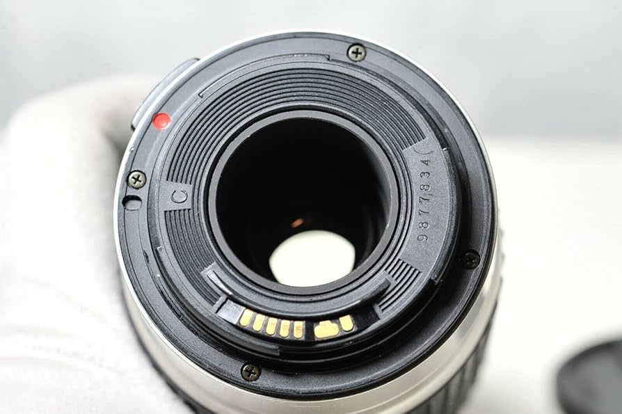 Nikon 100-300mm ズームレンズ f/5.6 Amazon.com : AF 100-300mm f/5.6-6.7 Auto Focus Telephoto