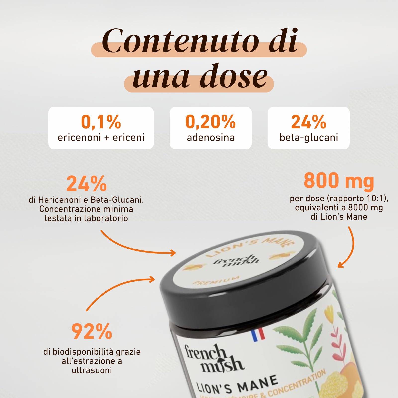 French Mush Lion's Mane Bio in Polvere - 30 g | Umore, Criniera di Leone, Hericium erinaceus, Si Mescola alle Bevande, Testato in Laboratorio, Prodotto in Francia