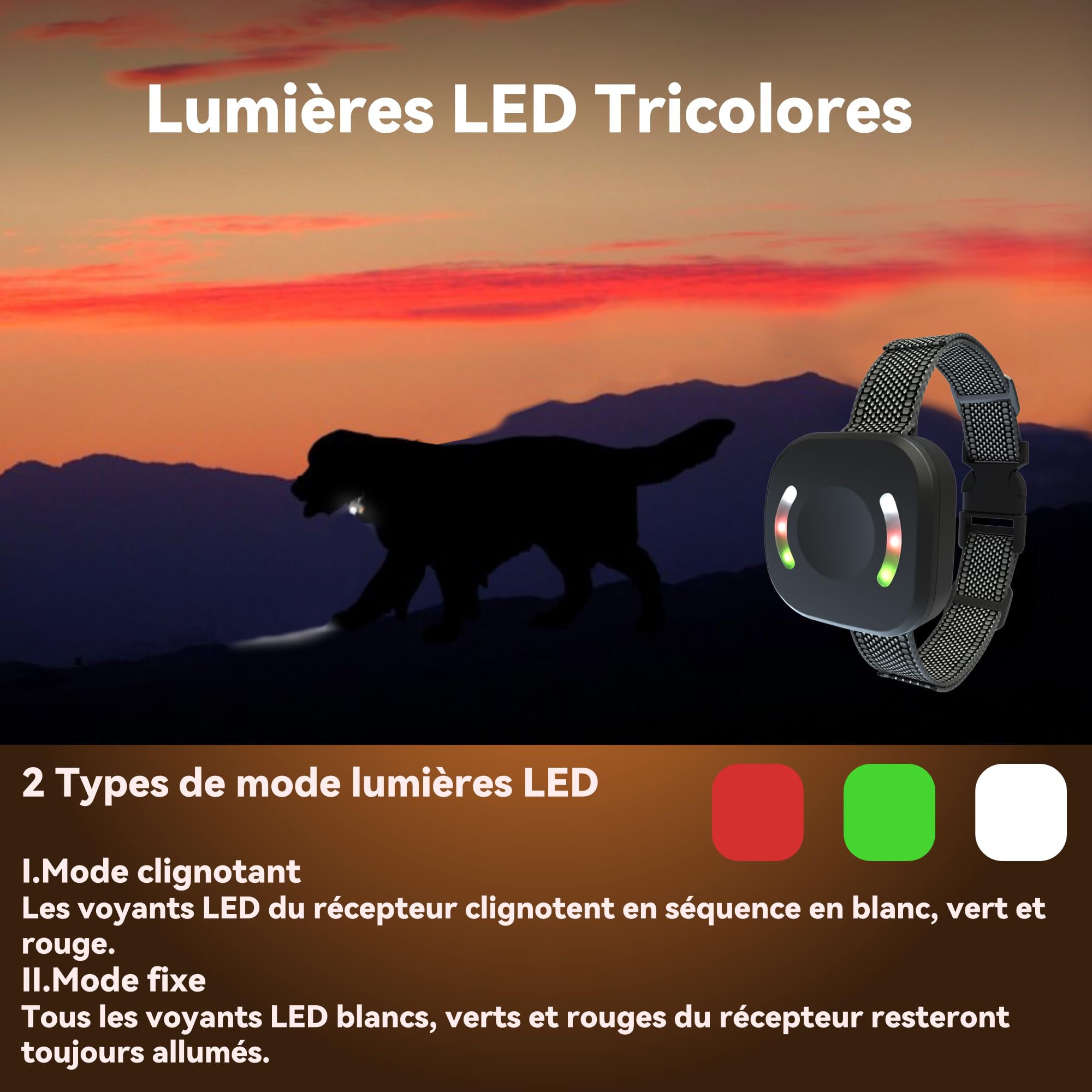 Meloive Collier de Dressage,Conformes à La Nouvelle Loi 2025-Collier Vibration-Portée de 3000 Mètres,4 Modes Son/Vibration/Forte Vibration/Lumières LED,Adapté à Tous Les Chiens