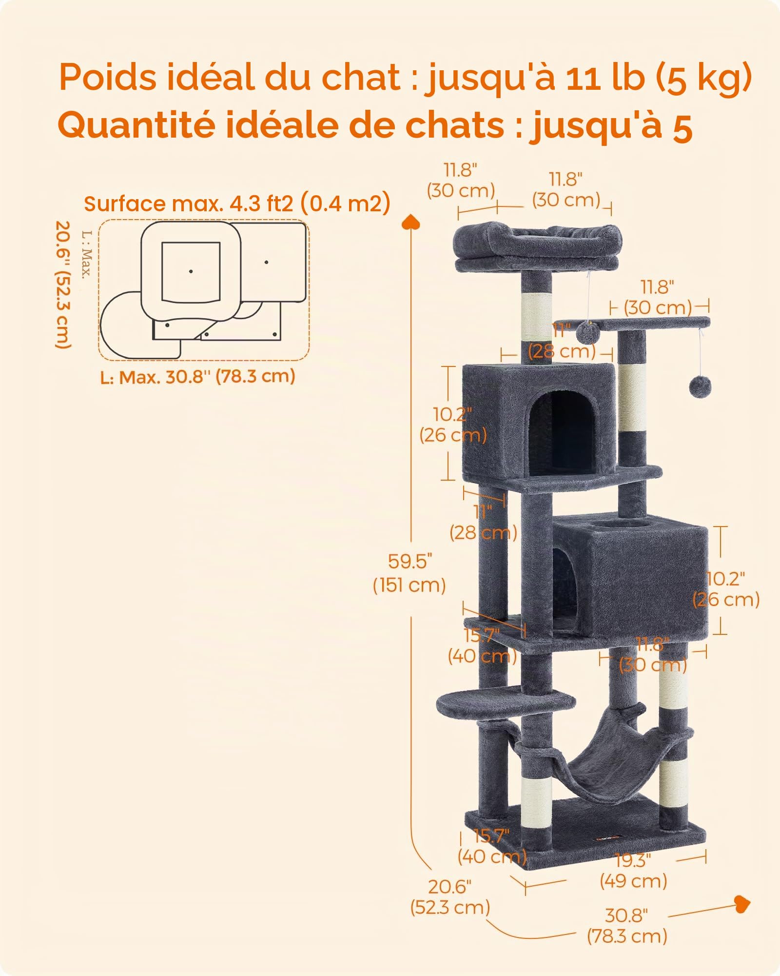Vue 5