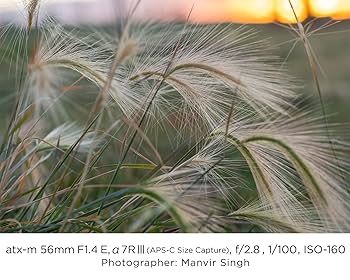 Amazon.com : Tokina ATX-m 56mm F1.4 Lens for Sony E Mount