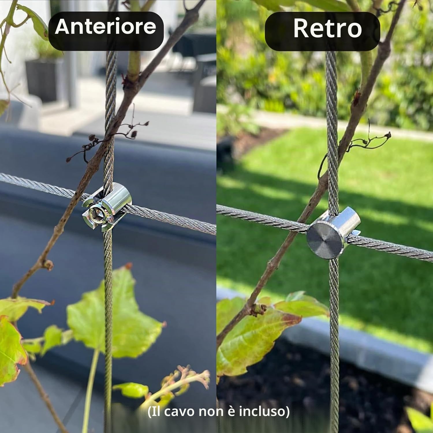 Supporto per Piante Rampicanti in Acciaio Inox,Sistema Professionale Completo,Corda da Parete per Piante in Durevole(16 Supporti, 24m Corda)