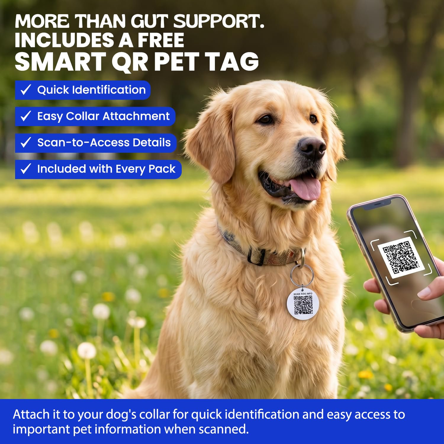 4-in-1 Probiotic Gut Health Chews for Dogs | 60 Chews + Free QR Dog Tag — Amazon image 9