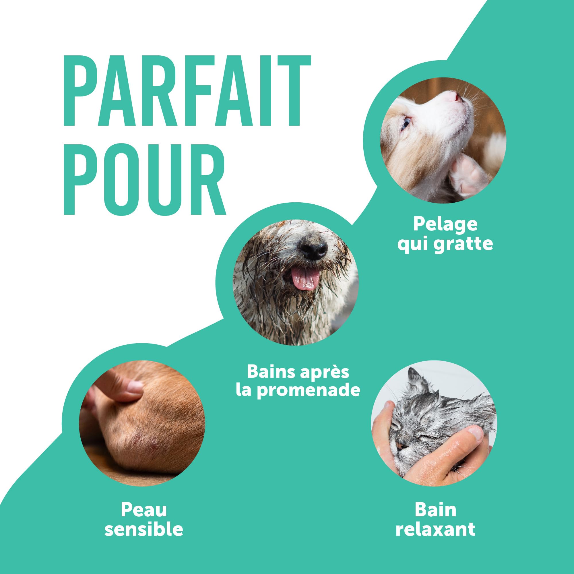 Petsly® Shampoing Anti Puces Chien Chat Chevaux -500ml- Élimine Puces & Tiques - pH Équilibré Peau Sensible, Nettoie, Apaise & Protège - Aloe Vera, Géraniol, Thé Vert, Camomile - Fabriqué en Allemagne