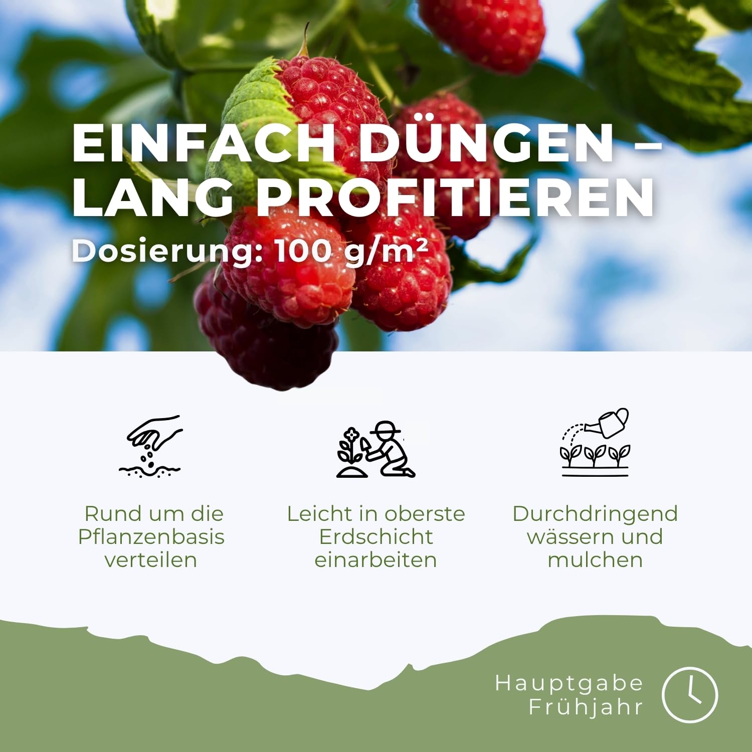 Flora Boost PRO Beeren Dünger mit Langzeitwirkung, 5KG Granulat