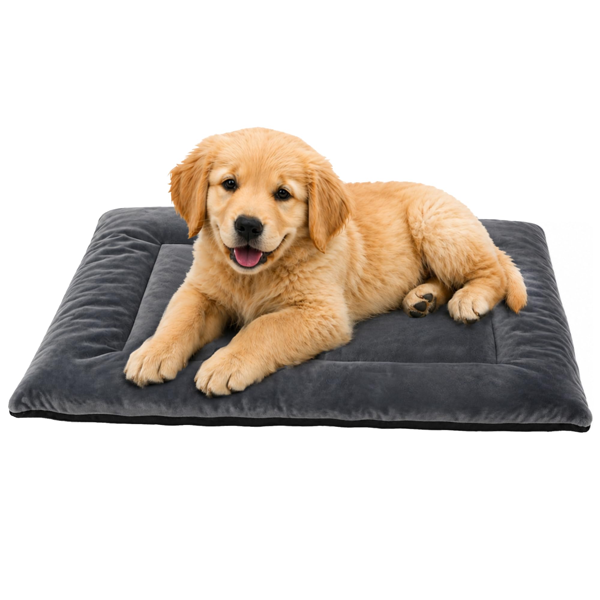 EpicRove RovePad Cozy – Dog Crate Mat, 6cm Thick Crate Mattress Pad, Non-Slip Washable Velvet Dog Bed for Small & Medium Dogs, Silent Indoor Kennel Pad (60 * 45cm,Grey)