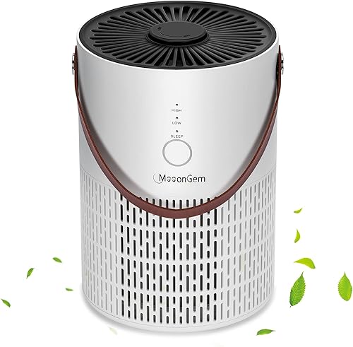 Filtro de aire HEPA MooonGem para el hogar con fragancia esponja polen, caspa de pelo de mascotas, polvo de humo, contaminantes en el aire,
