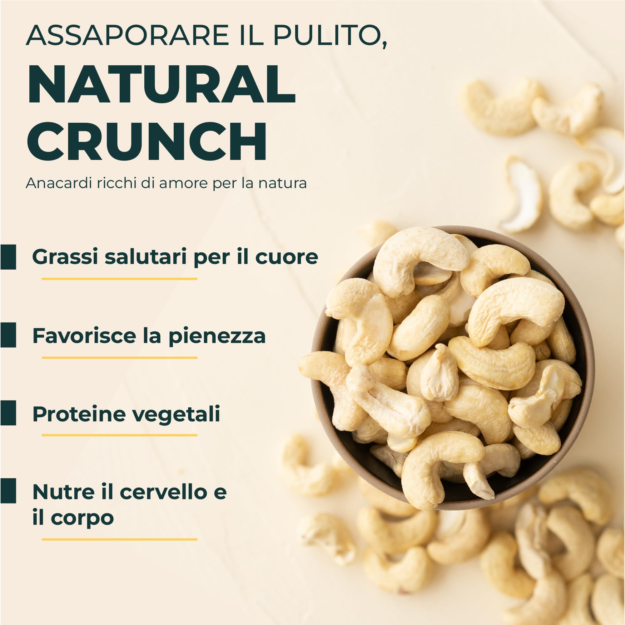 FOODIN Anacardi Biologici, 2x500g anacardi interi, buona fonte di proteine e grassi insaturi, 100% da agricoltura biologica, snack senza glutine e vegano, (2x500g)
