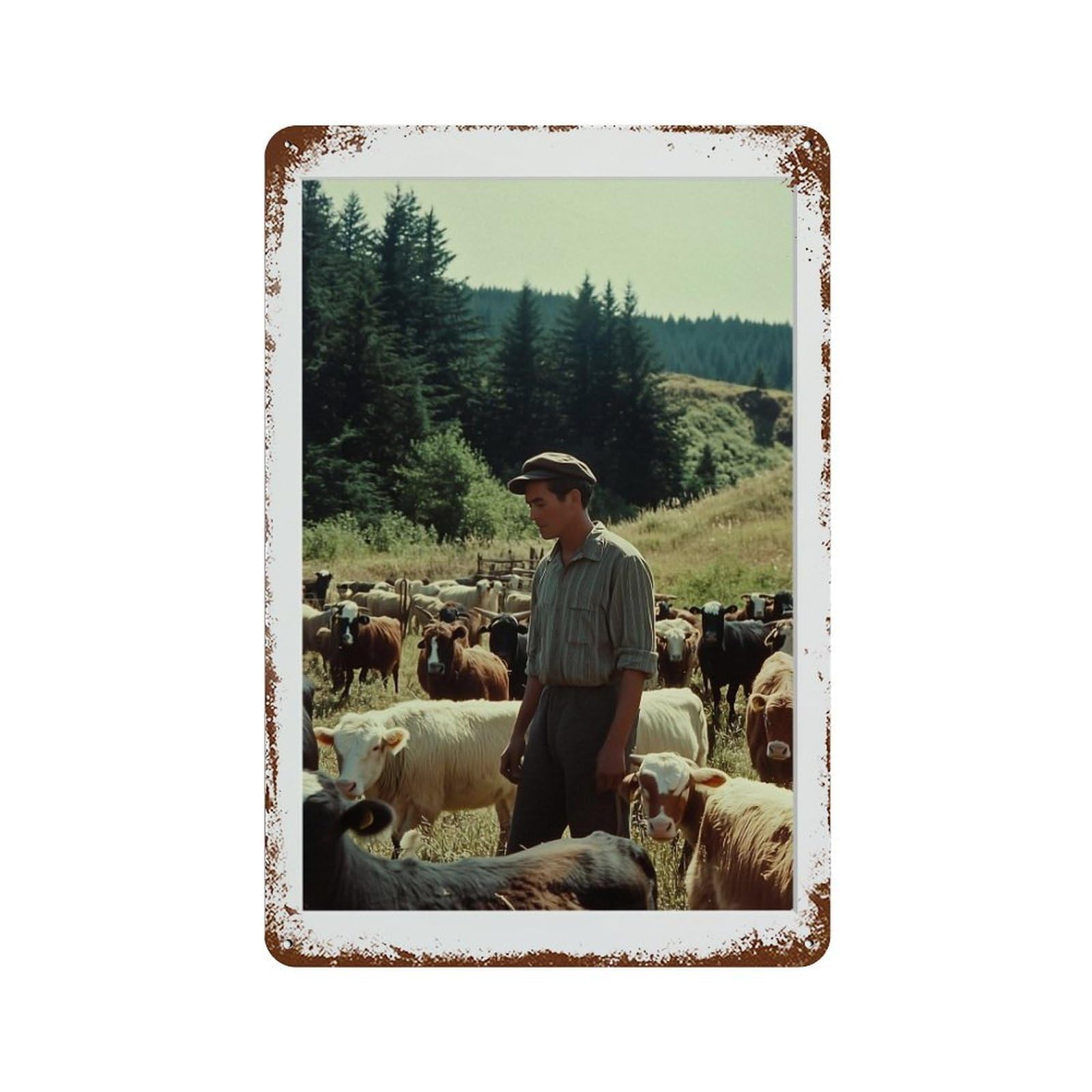 xiaoxiaoshen Sheep in Farm, Photography S Wall Decor Art Metal Tin Poster Modern Home Decor Art Home Bar Shop Decorations Vintage Sign 30x20cm