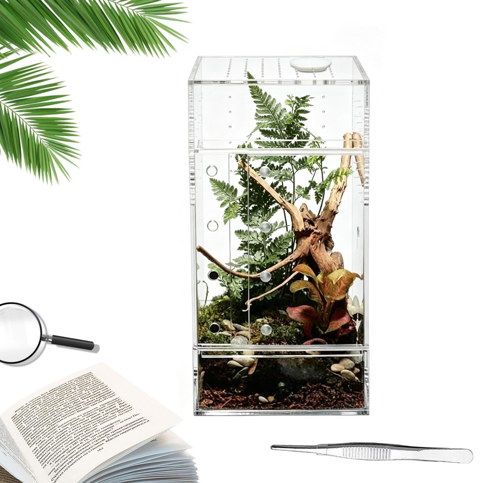 Terrarium pour geckos et grenouilles transparent pour décorer votre salon