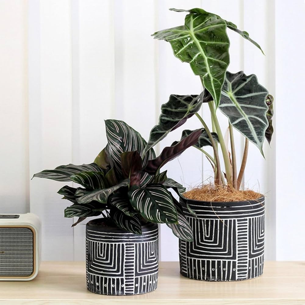 デコレーションプランター　おしゃれ鉢 楽天市場】大型ガーデンポット セメントプランター 底穴あり