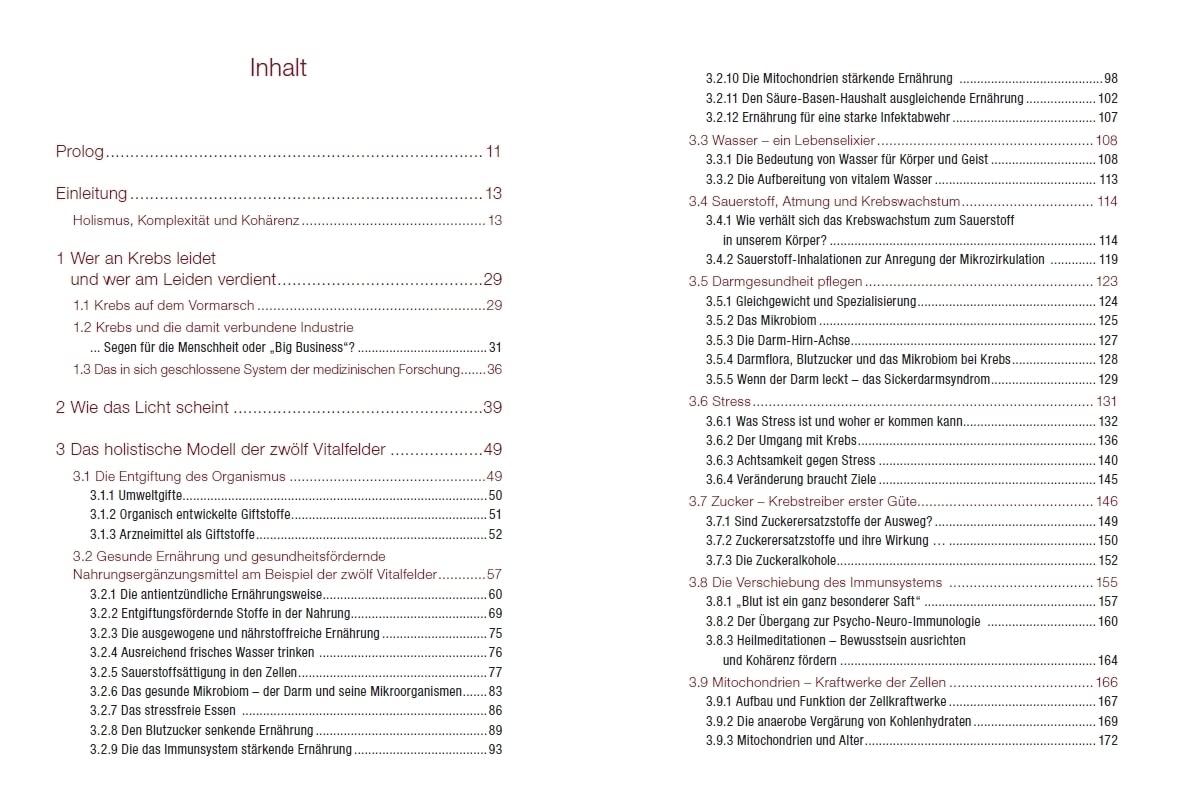 Krebs verstehen und ganzheitlich behandeln: Integrative Strategien