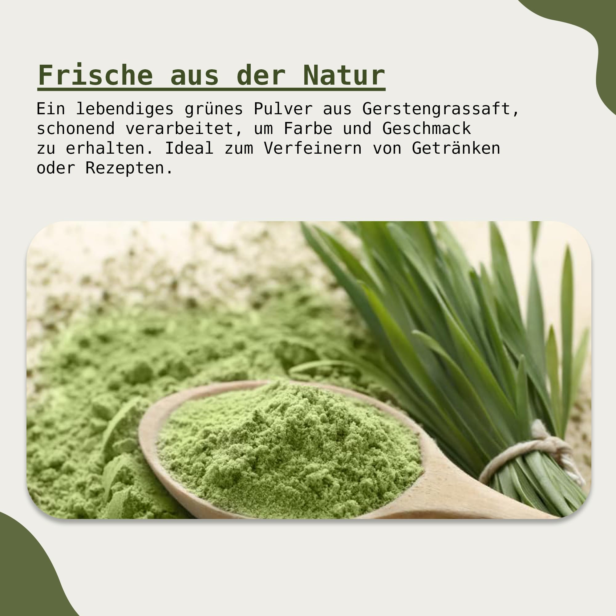 Succo d'erba d'orzo biologico in polvere | certificato di alta qualità | Barley Grass Juice Powder | 100% polvere d'erba d'orzo | La nutrizione secondo Anthony William (200 g)