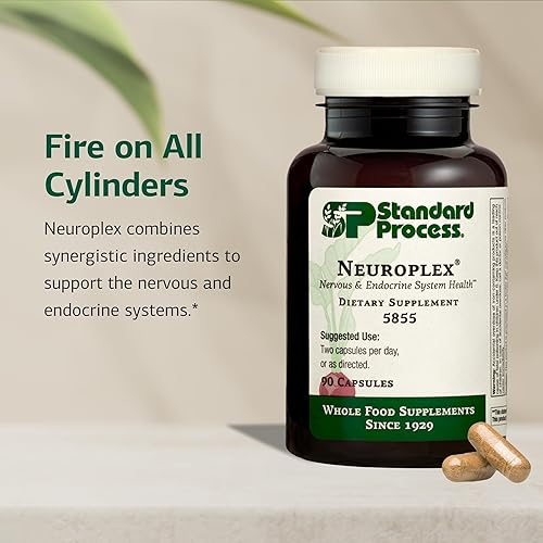 Miniatura 3 de Neuroplex de proceso estándar - Apoya la función del sistema nervioso y endocrino - Apoyo a la salud cerebral con vitamina B6, hierro, zinc y más -